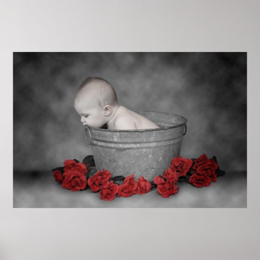 Emmer en Rozen Poster (Voorkant)
