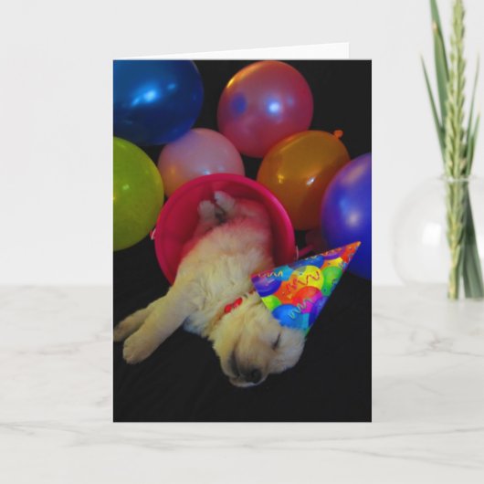 Emmer Lucy Kaart (Voorkant)