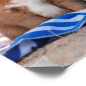 Emmer van de Puppies op het strand Poster (Hoek)