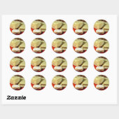 Emmi Emmentaler kaas Ronde Sticker (Vel)