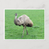 emoe briefkaart (Voorkant)