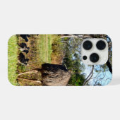 Emoemoederen die kuikens mee uit wandelen nemen, iPhone hoesje (Achterkant horizontaal)