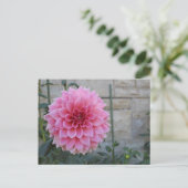 Emory Paul Dinnerplate Dahlia Flower Briefkaart (Staand voorkant)