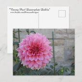 Emory Paul Dinnerplate Dahlia Flower Briefkaart (Voorkant / Achterkant)