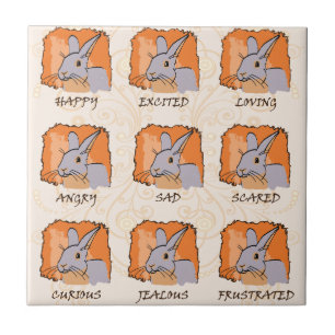 EMOTIES - LILA TEGELTJE