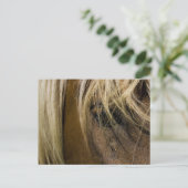 Emotionele paarden briefkaart (Staand voorkant)