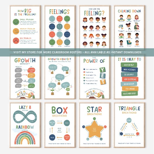 Emotionele Regeling Klaslokaal Poster