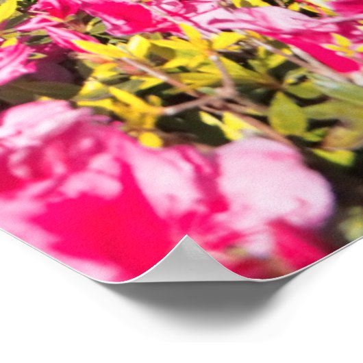 Empadas Lakes, Azoren Poster (Hoek)