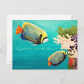 Emperor Angel Briefkaart (Voorkant / Achterkant)