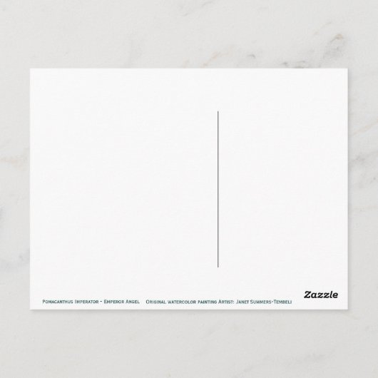 Emperor Angel Briefkaart (Achterkant)