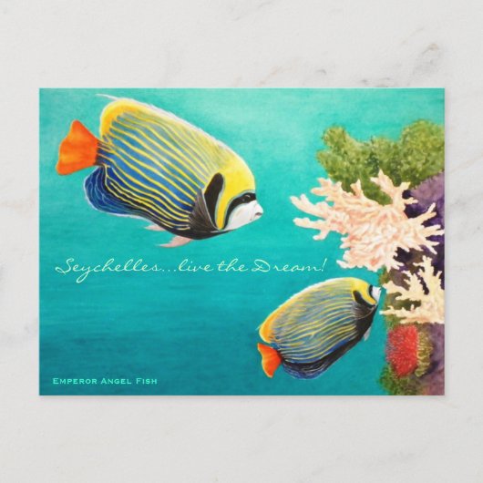 Emperor Angel Briefkaart (Voorkant)