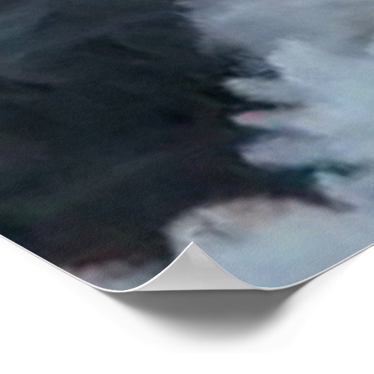 Emperor Angel Fish Poster (Hoek)