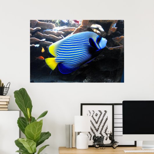 Emperor Angelfish Poster (Thuiskantoor)