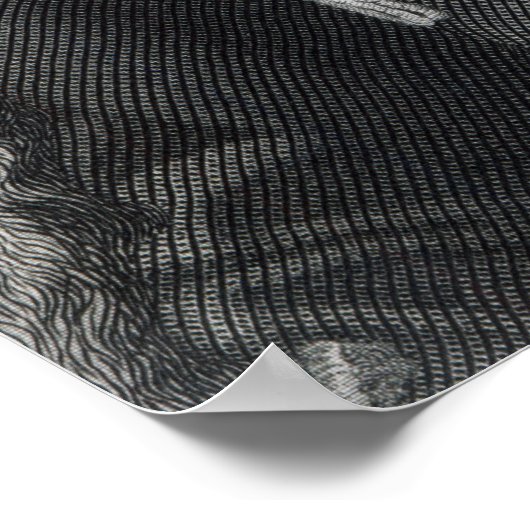 Emperor Franz Joseph I van Oostenrijk Poster (Hoek)