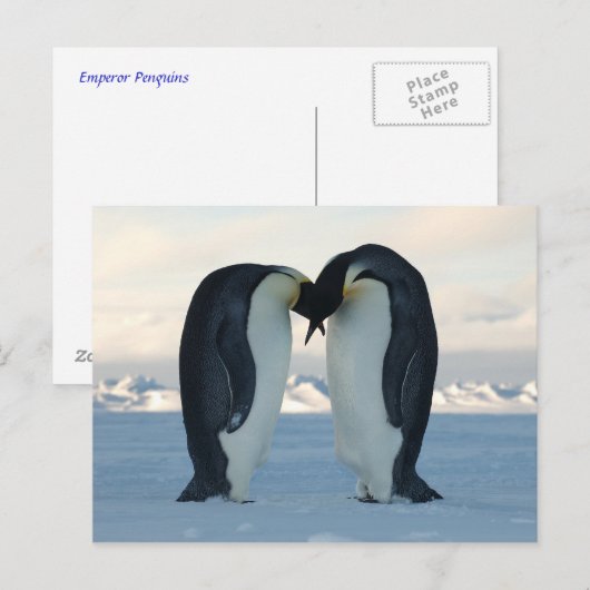 Emperor Kiss Briefkaart (Voorkant / Achterkant)