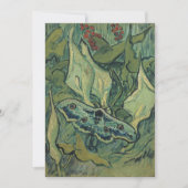 Emperor Moth | Vincent van Gogh (Voorkant)