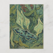 Emperor Moth | Vincent van Gogh Briefkaart (Voorkant)
