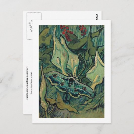 Emperor Moth, Vincent van Gogh Briefkaart (Voorkant / Achterkant)