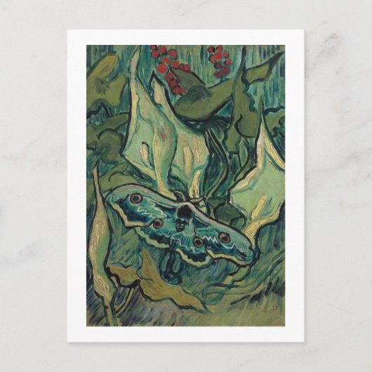 Emperor Moth, Vincent van Gogh Briefkaart (Voorkant)