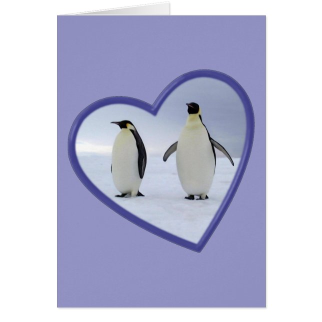 Emperor Penguin (Voorkant)