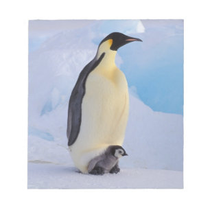 Emperor Penguin   Aptenodyten Notitieblok