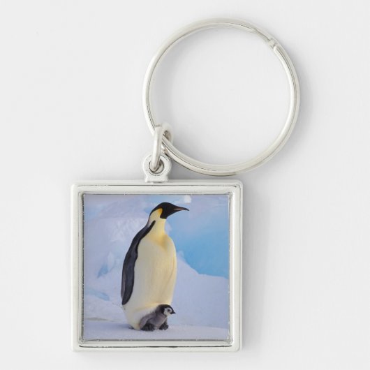 Emperor Penguin | Aptenodyten Sleutelhanger (Voorkant)