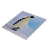 Emperor Penguin | Aptenodyten Tegeltje (Zijkant)