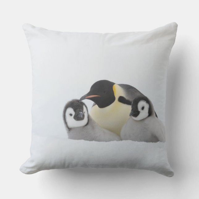 Emperor Penguin (Aptenodytes forsteri) 2 Kussen (Voorkant)