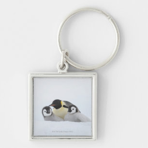 Emperor Penguin (Aptenodytes forsteri) 2 Sleutelhanger