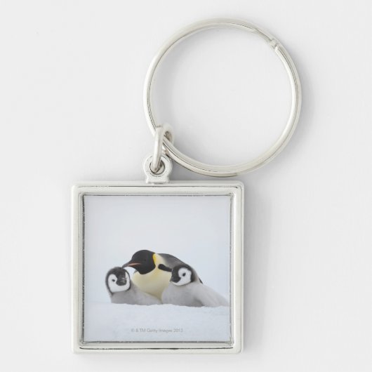 Emperor Penguin (Aptenodytes forsteri) 2 Sleutelhanger (Voorkant)