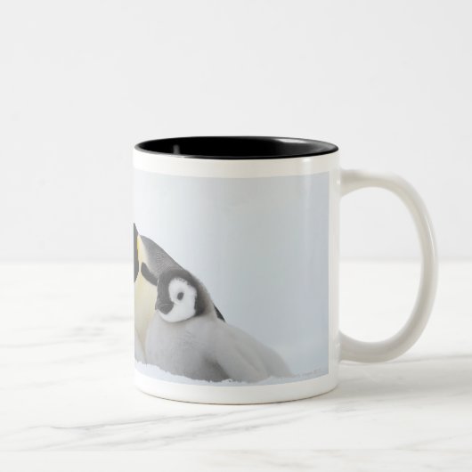 Emperor Penguin (Aptenodytes forsteri) 2 Tweekleurige Koffiemok (Rechts)