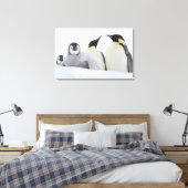 Emperor Penguin (Aptenodytes forsteri) Canvas Afdruk (Insitu (Slaapkamer))