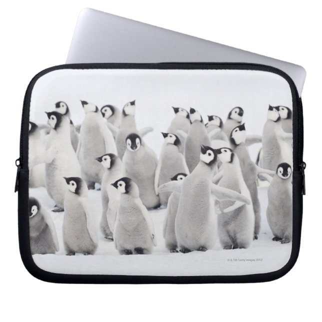 Emperor Penguin (Aptenodytes forsteri) Laptop Sleeve (Voorkant)