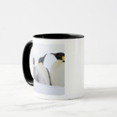 Emperor Penguin (Aptenodytes forsteri) Mok (Voorkant links)