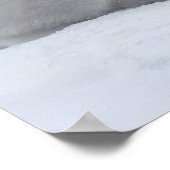 Emperor Penguin (Aptenodytes forsteri) Poster (Hoek)