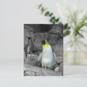 Emperor Penguin Briefkaart (Staand voorkant)