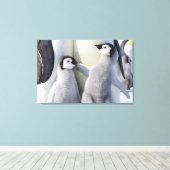 Emperor Penguin Chick Canvas Afdruk (Insitu (Houten vloer))