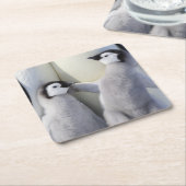 Emperor Penguin Chick Kartonnen Onderzetters (Schuin)