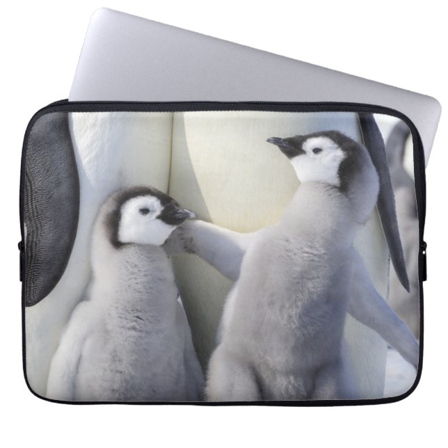 Emperor Penguin Chick Laptop Sleeve (Voorkant)
