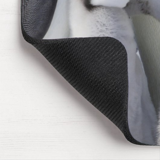 Emperor Penguin Chick Muismat (Hoek)