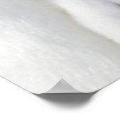 Emperor Penguin Chick Poster (Hoek)