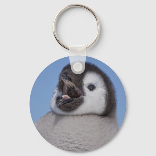 Emperor Penguin Chick Sleutelhanger (Voorkant)
