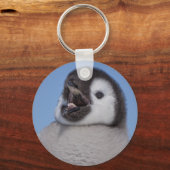 Emperor Penguin Chick Sleutelhanger (Voorkant)