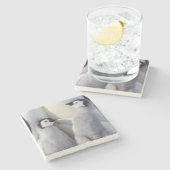 Emperor Penguin Chick Stenen Onderzetter (Zijkant)