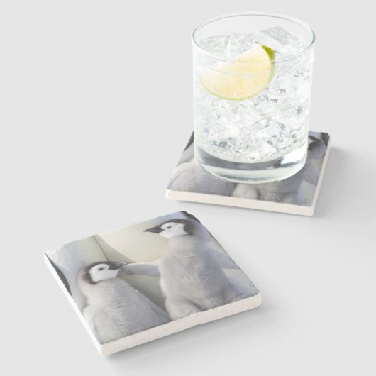 Emperor Penguin Chick Stenen Onderzetter (Zijkant)