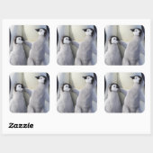 Emperor Penguin Chick Vierkante Sticker (Vel)