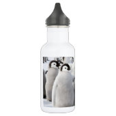 Emperor Penguin Chicken Water Fles (Links)
