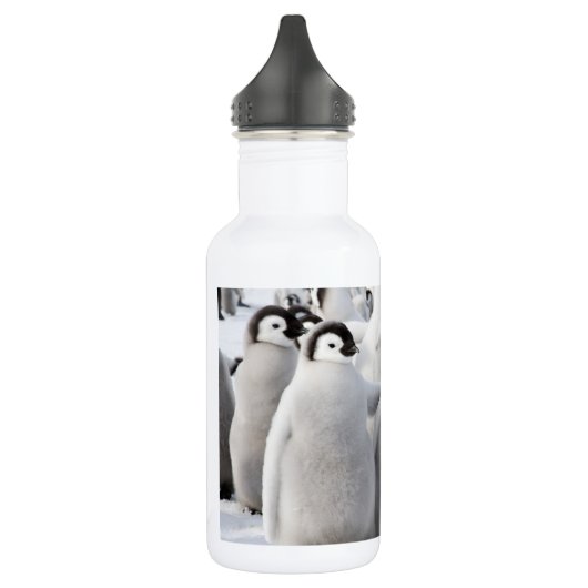 Emperor Penguin Chicken Water Fles (Links)