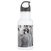 Emperor Penguin Chicken Water Fles (Voorkant)