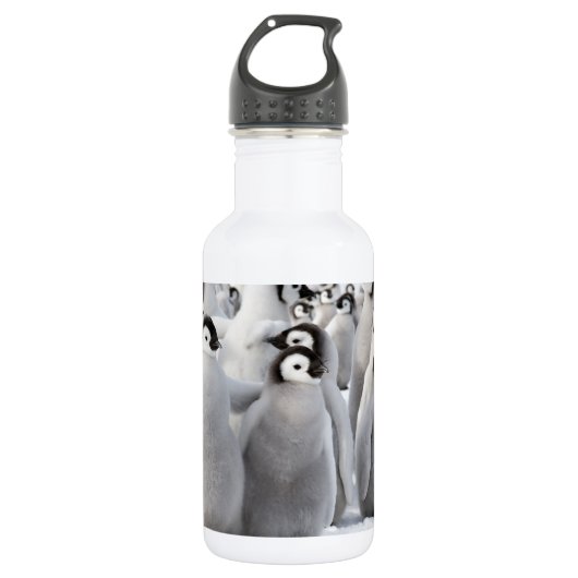 Emperor Penguin Chicken Water Fles (Voorkant)